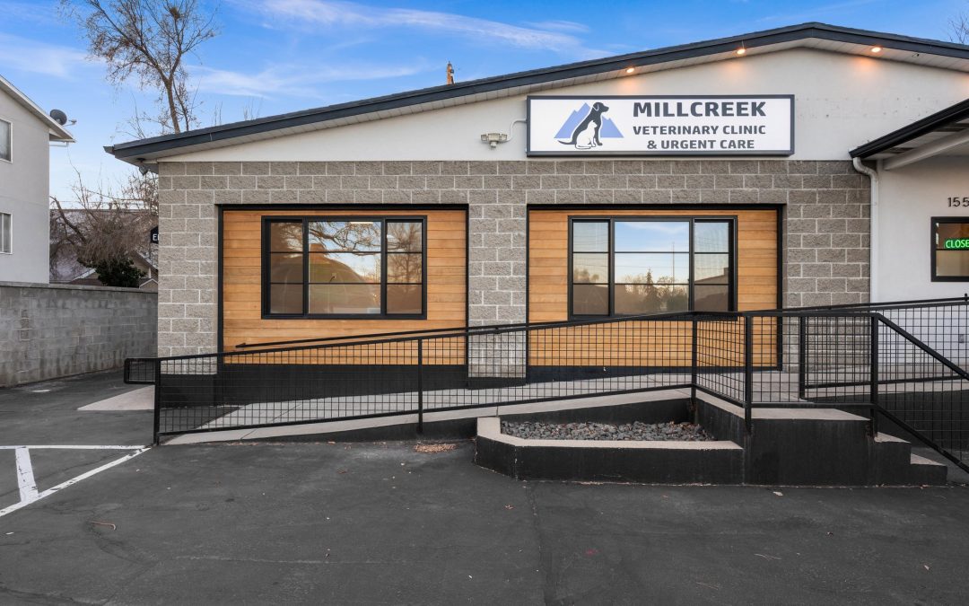Millcreek Veterinary Clinic